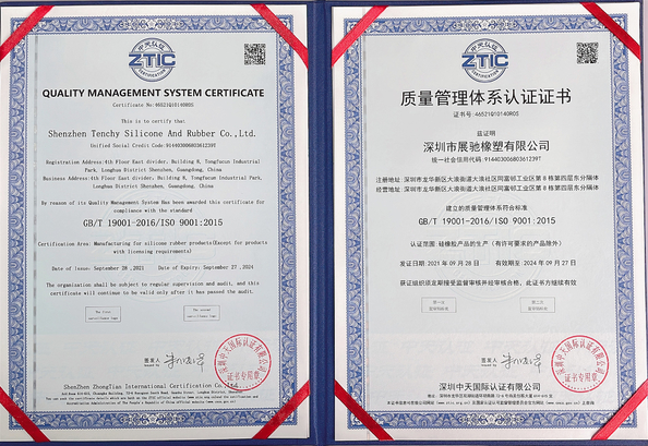 중국 Shenzhen Tenchy Silicone&amp;Rubber Co.,Ltd 인증